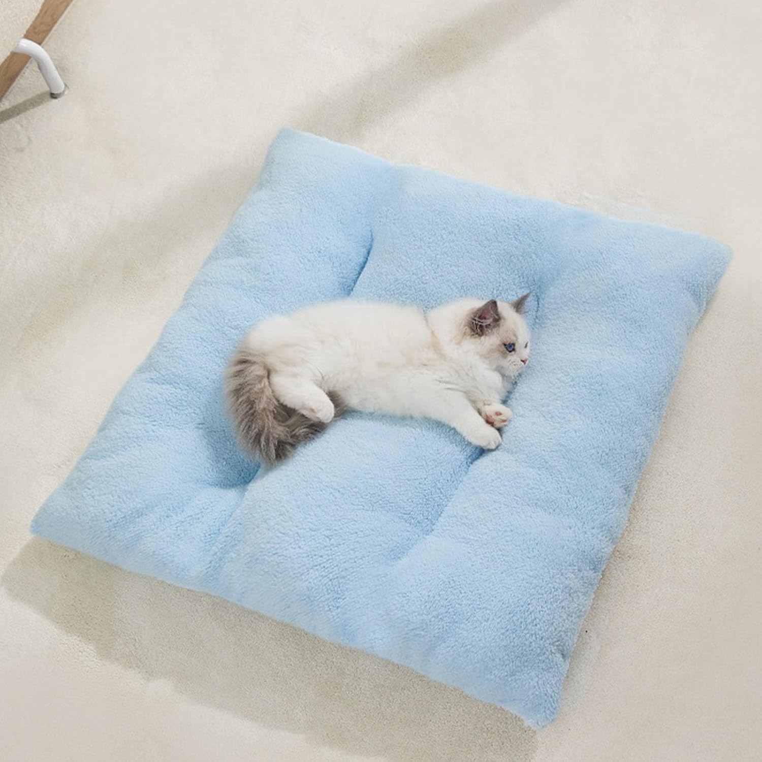 Modern Enclosed Puss Tent Launderable Protect Warm Comfortable Indoor Bed for Leopardine Winter Warm Puss Shelter