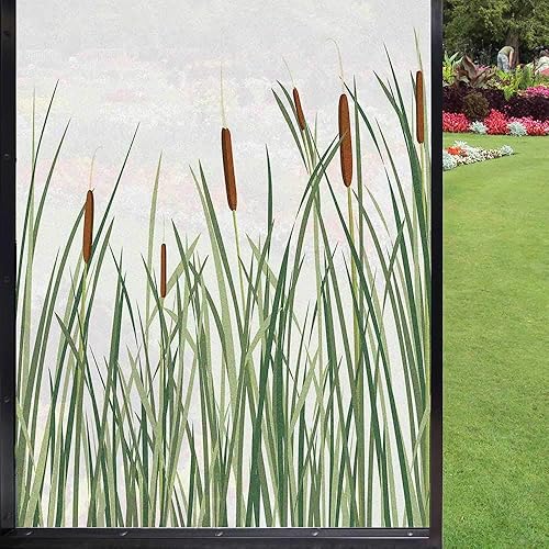 Swamp - Película de privacidad para ventana  Fondo de plantas acuáticas de la naturaleza de hierba de caña Reseda, verde canela y blanco, 24 x 36