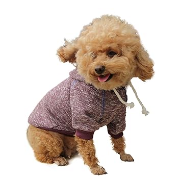 DALAPAW Pet Clothes for Dog Cat Puppy Hoodies Coat Winter Sweatshirt Warm Sweater Dog Outfits Athletic Look Dog Hoodie Sweatshirts Pullover Cat Jackets Wine Red (L)