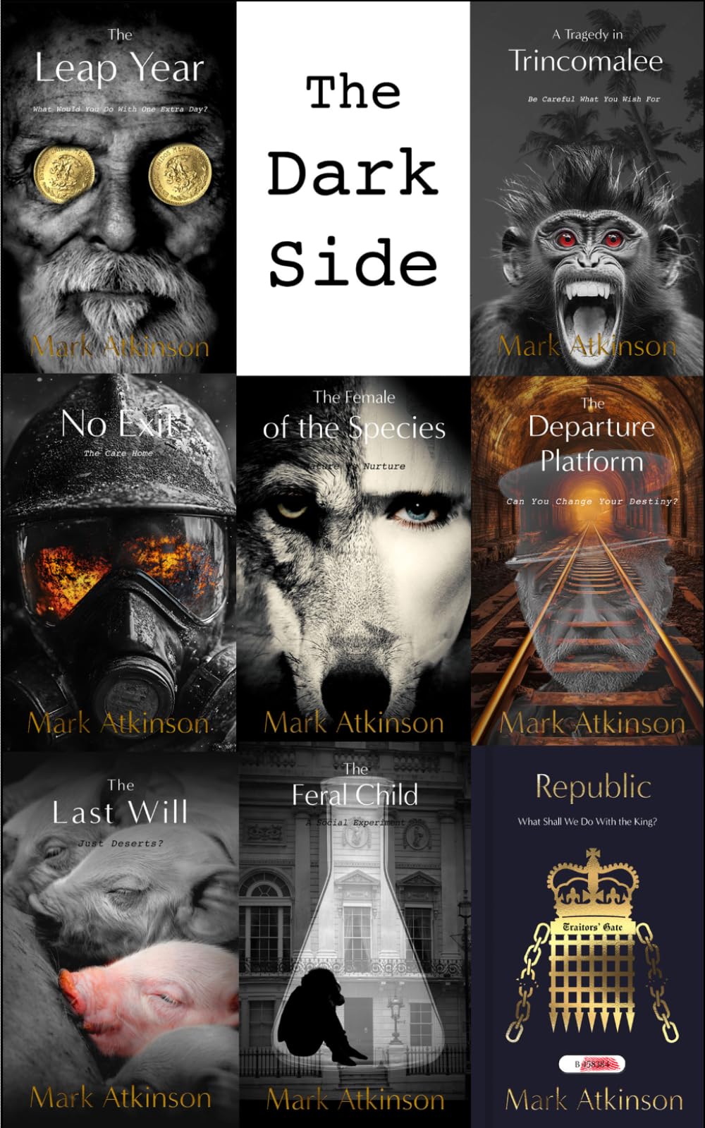 The Dark Side: A Noir Short Story Collection