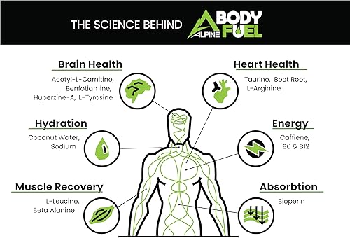 Miniatura 2 de Alpine Innovations Body Fuel Focus + Energy - Suplemento de gran sabor hecho para mejorar la concentración y proporcionar energía sin nerviosismo.
