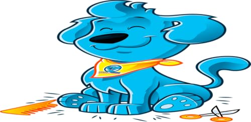 How to care for your dog from puppy to adult