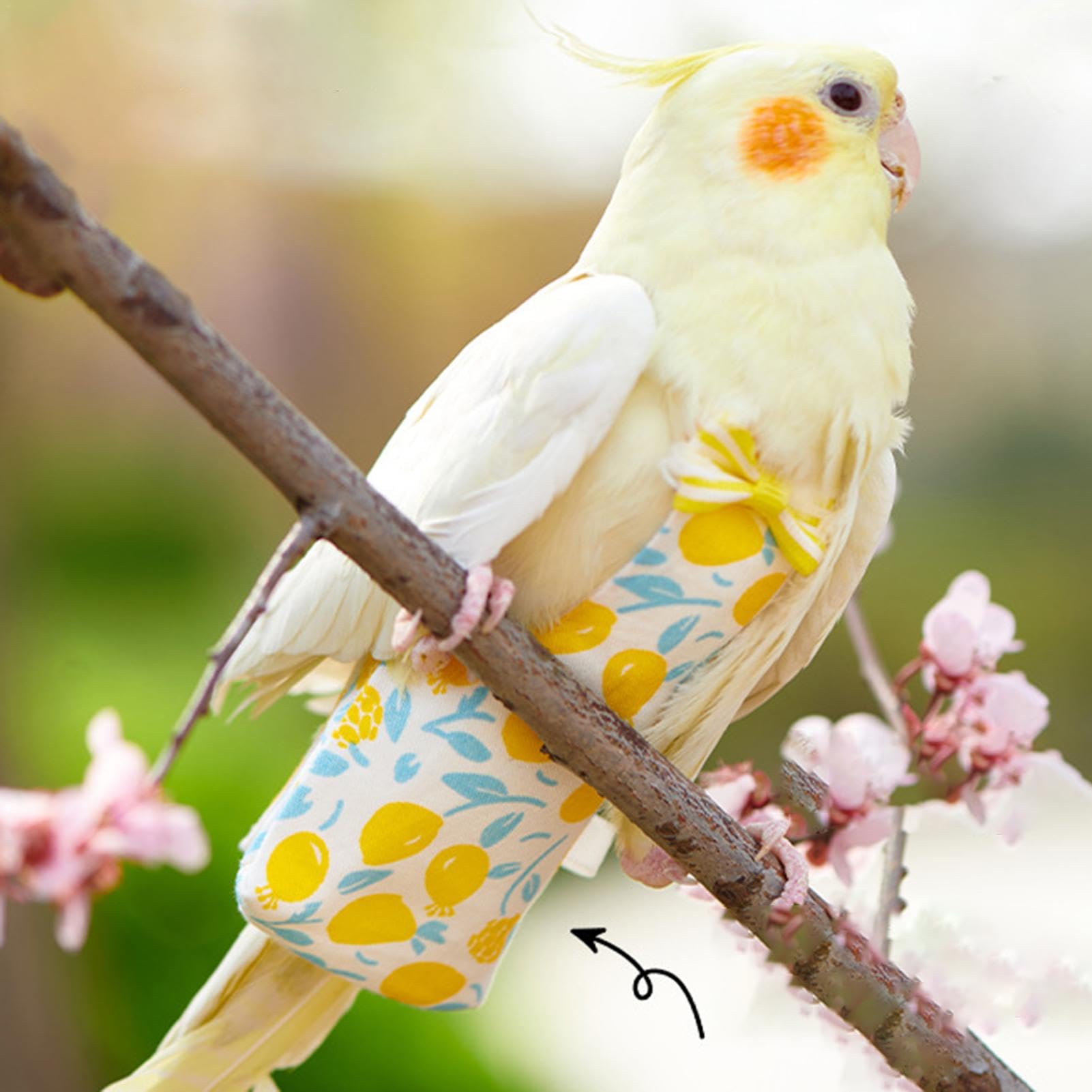 OPENMALL Cute Birds Flight Suit With Bow Tie Parrots Cute Pet Parrot Diapers Clothes For Parakeet Pigeon Medium Large Pet Bird Party Prop D3i2 I.49969001