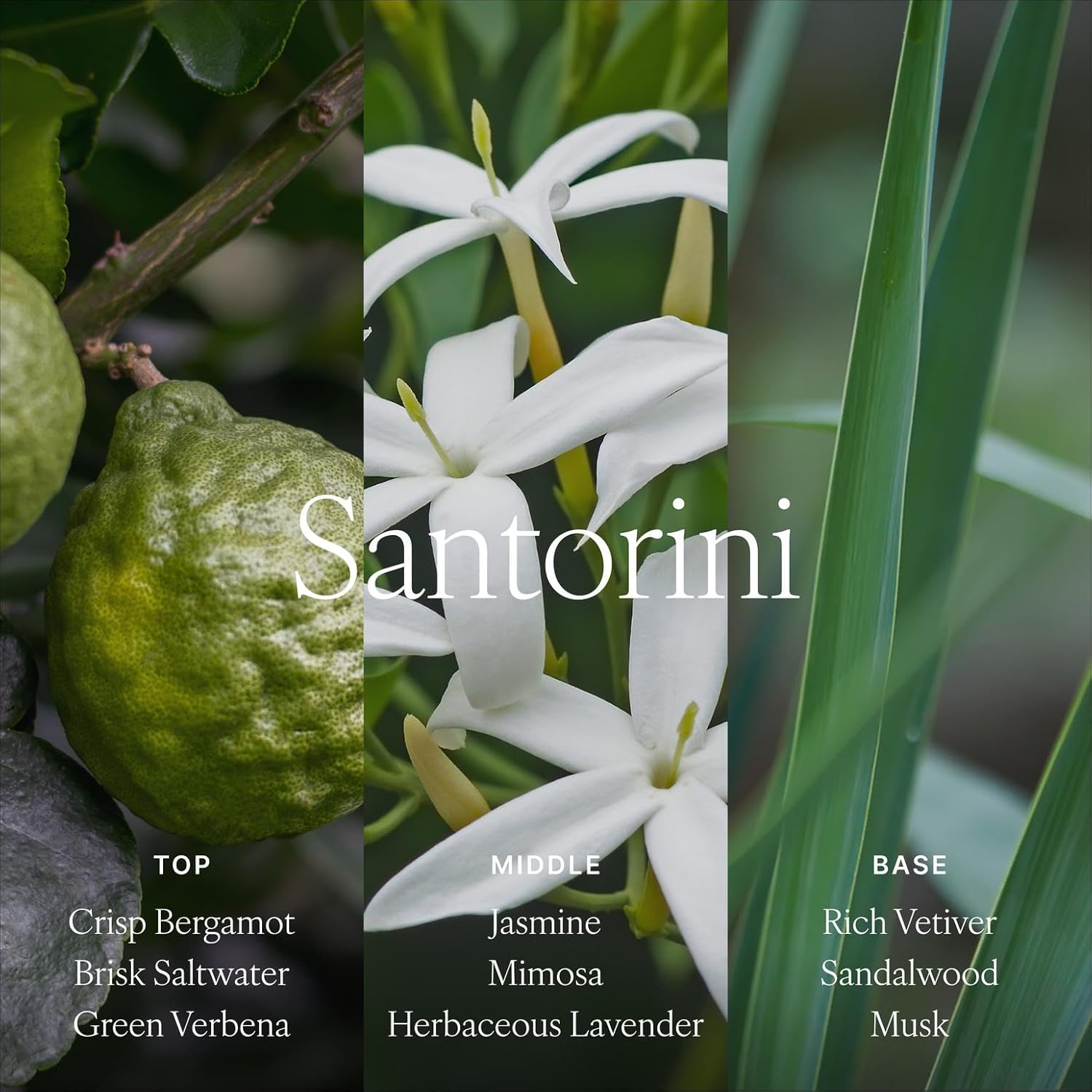 Antica Farmacista Room Spray - Elegant House Spray - Long-Lasting, Room Fragrance - Luxury Gift for Housewarming - Santorini, 3.4 fl oz