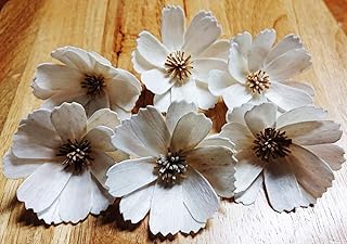 25 White Cosmos Artificial Sola Wood Flower Diffuser Flowers 5 cm Dia. for Decorate Craft