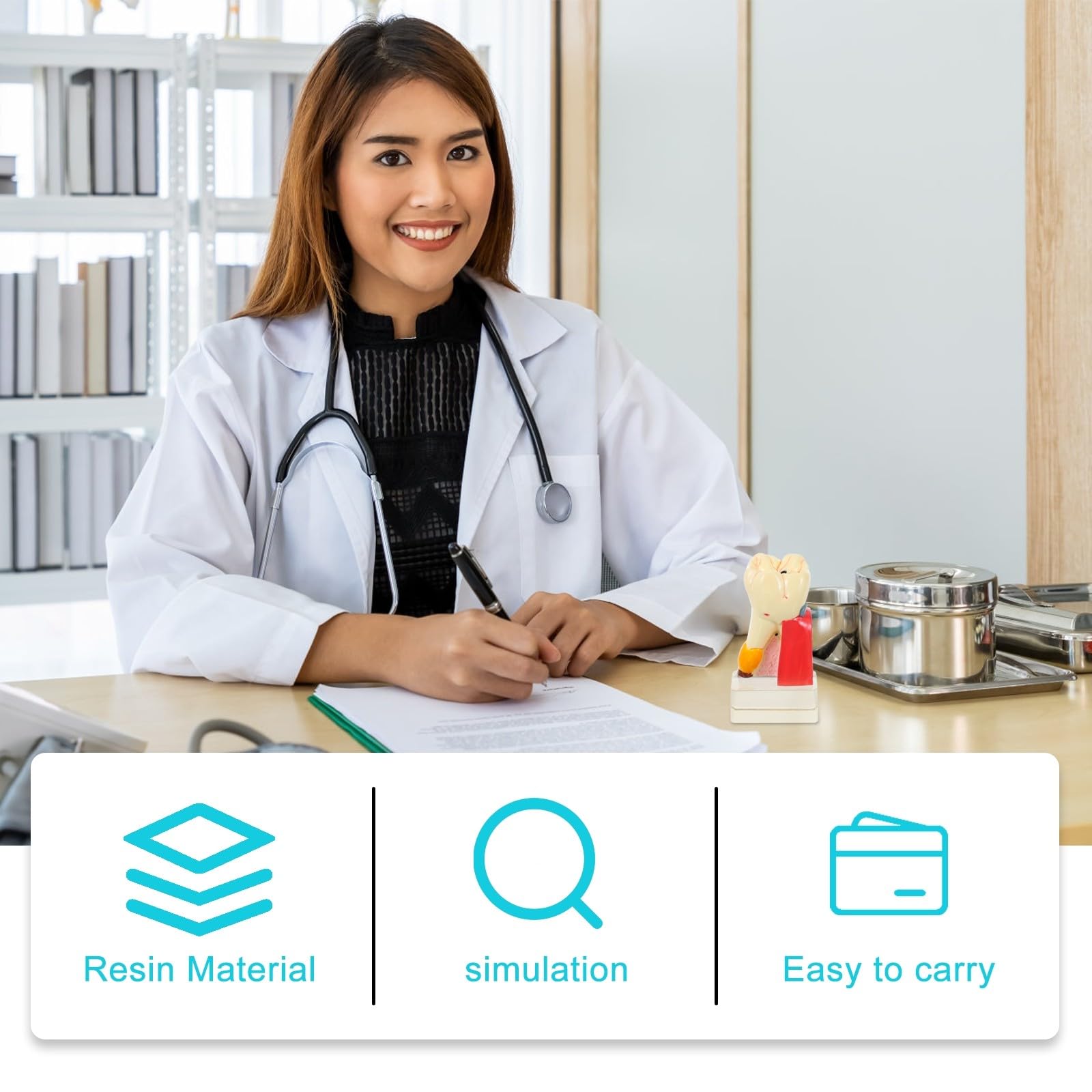 Zerodeko Modèle Anatomique de Carie Dentaire Beige en Résine Portable pour Démonstration Professionnelle des Soins Dentaires par Dentistes