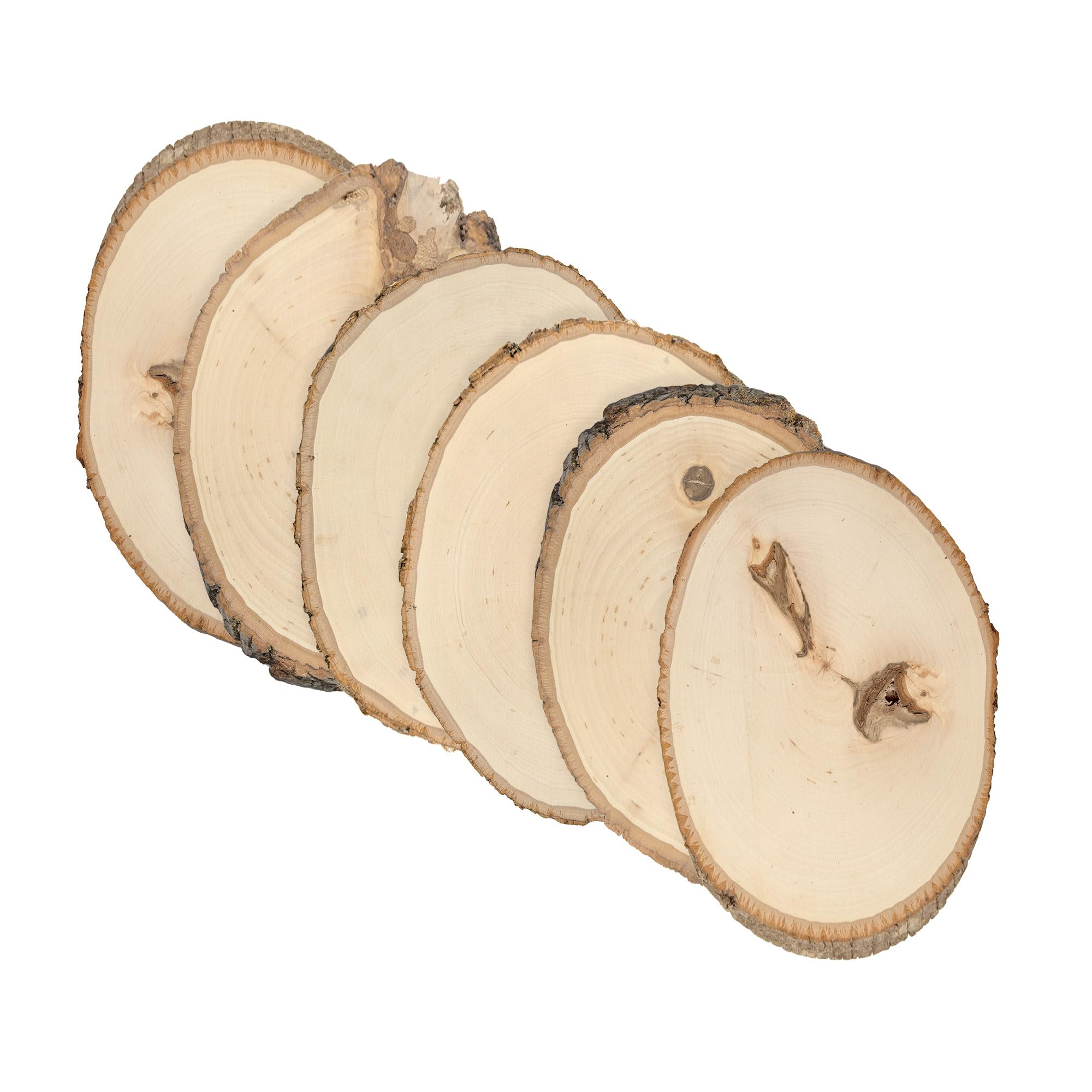 Walnut Hollow Rustic Basswood Round Small with Live Edge Wood (Pack of 6) - for Wood Burning, Home Décor, and Rustic Weddings