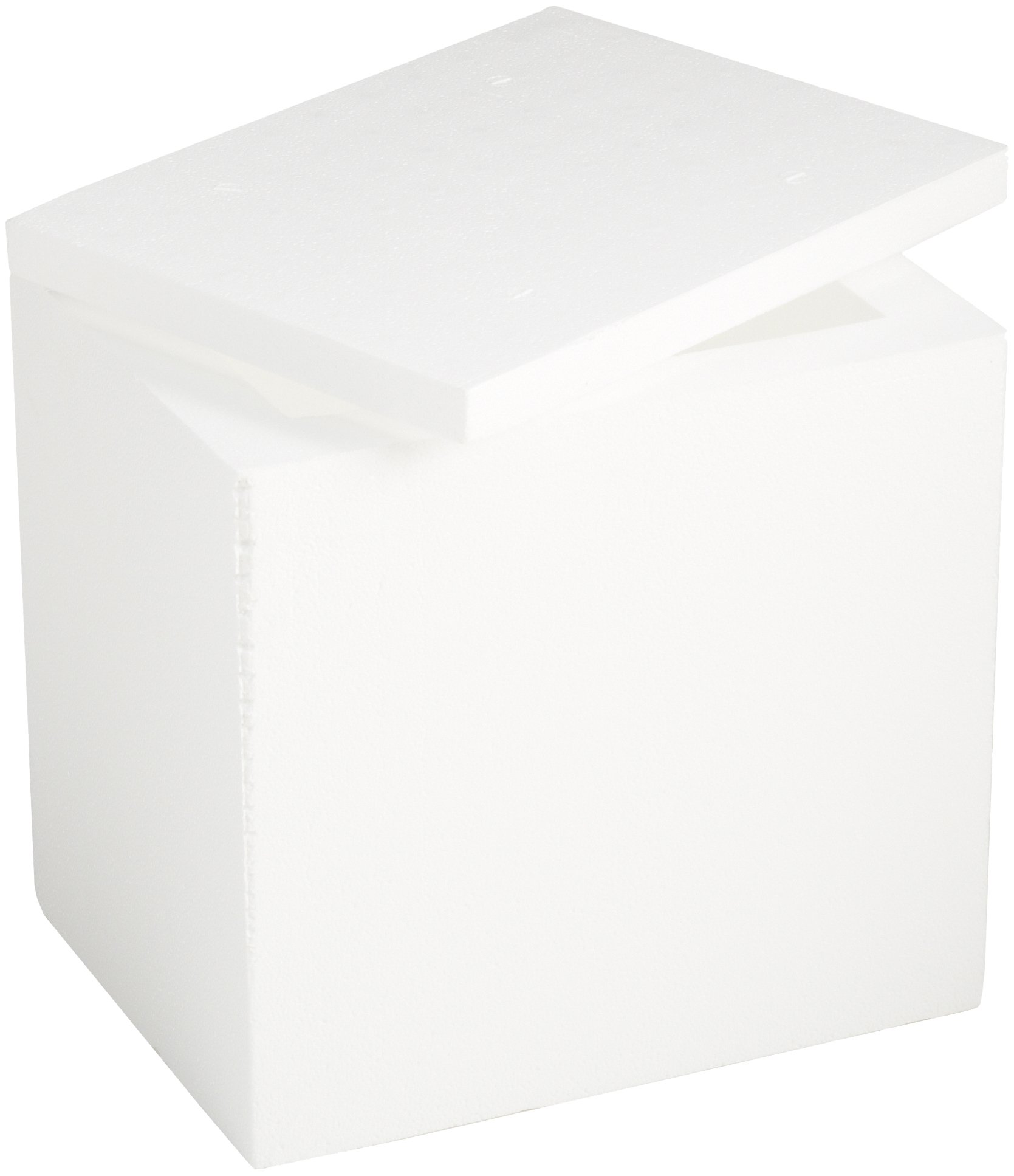 ThermoSafe 314 Storage and Transport Chest Multi-Purpose Foam Container with Fiberboard Case, 0.44 cu. ft. Volume, 13.75