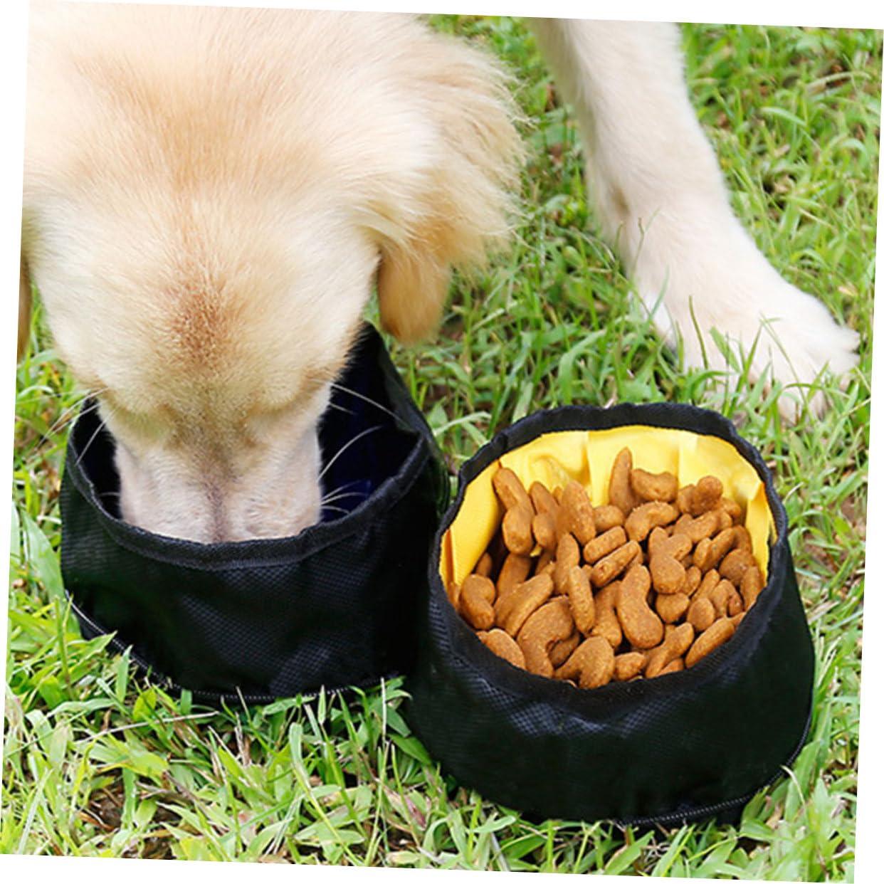 Sosoport 2stücke Pet Faltbare Hundeschalen Tragbare Doppelnapf Für Hunde Und Katzen Für Outdoor-aktivitäten Und Reisen Mit Karabiner Und Praktischem Reißverschluss Für Einfachen