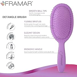 Framar Detangling Brush for Curly Hair - Hair Brushes for Women, Wet Hairbrush For Women, Hairbrushes, Purple Hair Brush Detangler, Reduces Breakage, Frizz and Static - Purple