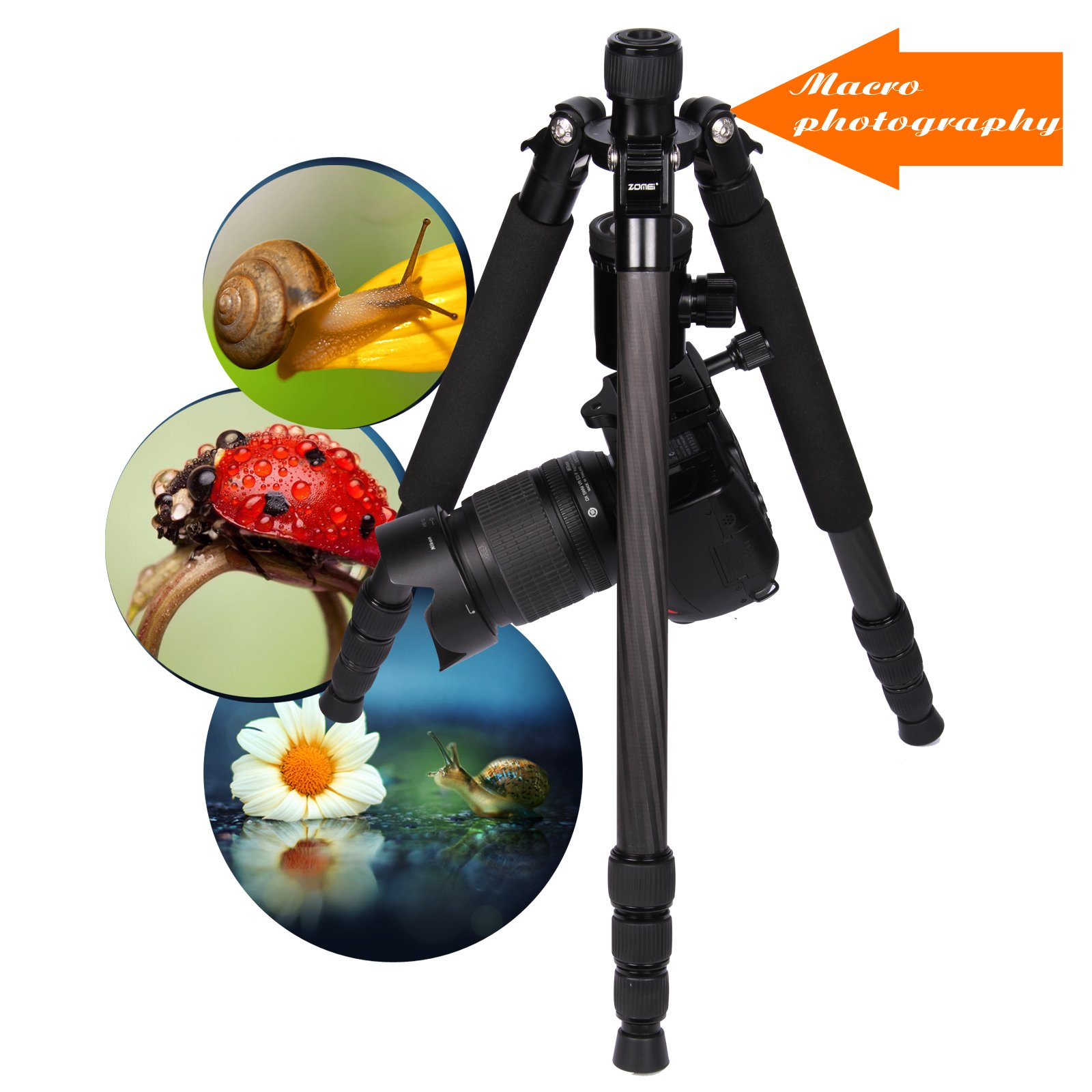 ZOMEI Z818C Support pour Appareil Photo numérique et caméscope pour trépied avec Support en rotule et rotule