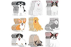 36 Pack Dog Themed Birthday Party Favors Sticky Note Set