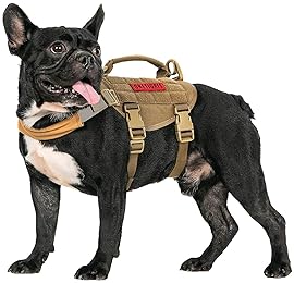 best tracking harness for dogs