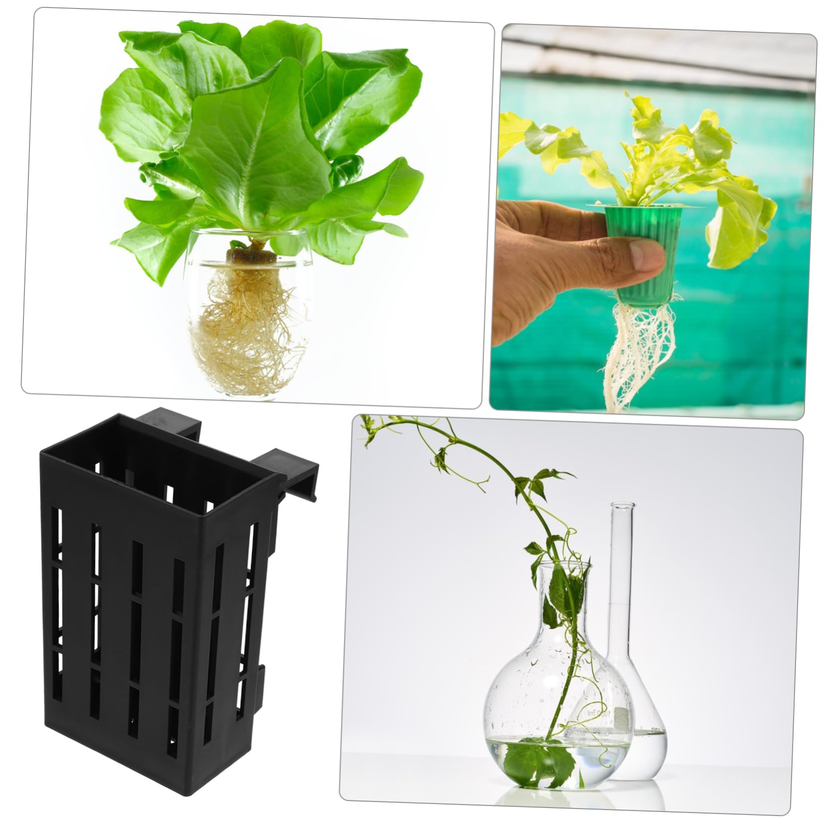 Didiseaon Supporto per Piante Acquatiche Sospeso in Plastica Nero 4 Pezzi per Acquario Fori per Flusso d'Acqua per Piante d'Acqua Dolce in Vasca Pesci