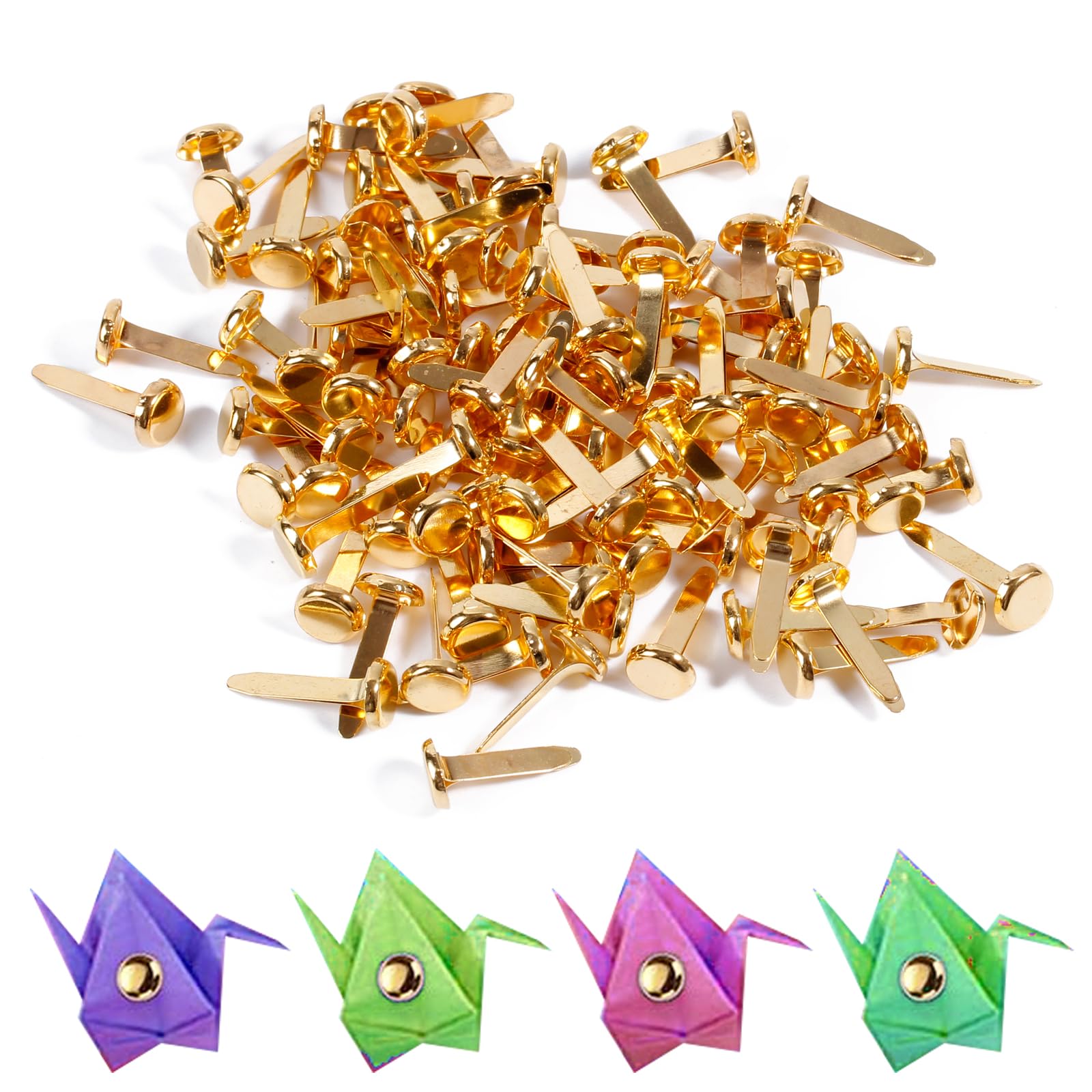 12 Pièces Pinces à Puces, Pinces à Pain, Pinces à Sac, Pinces