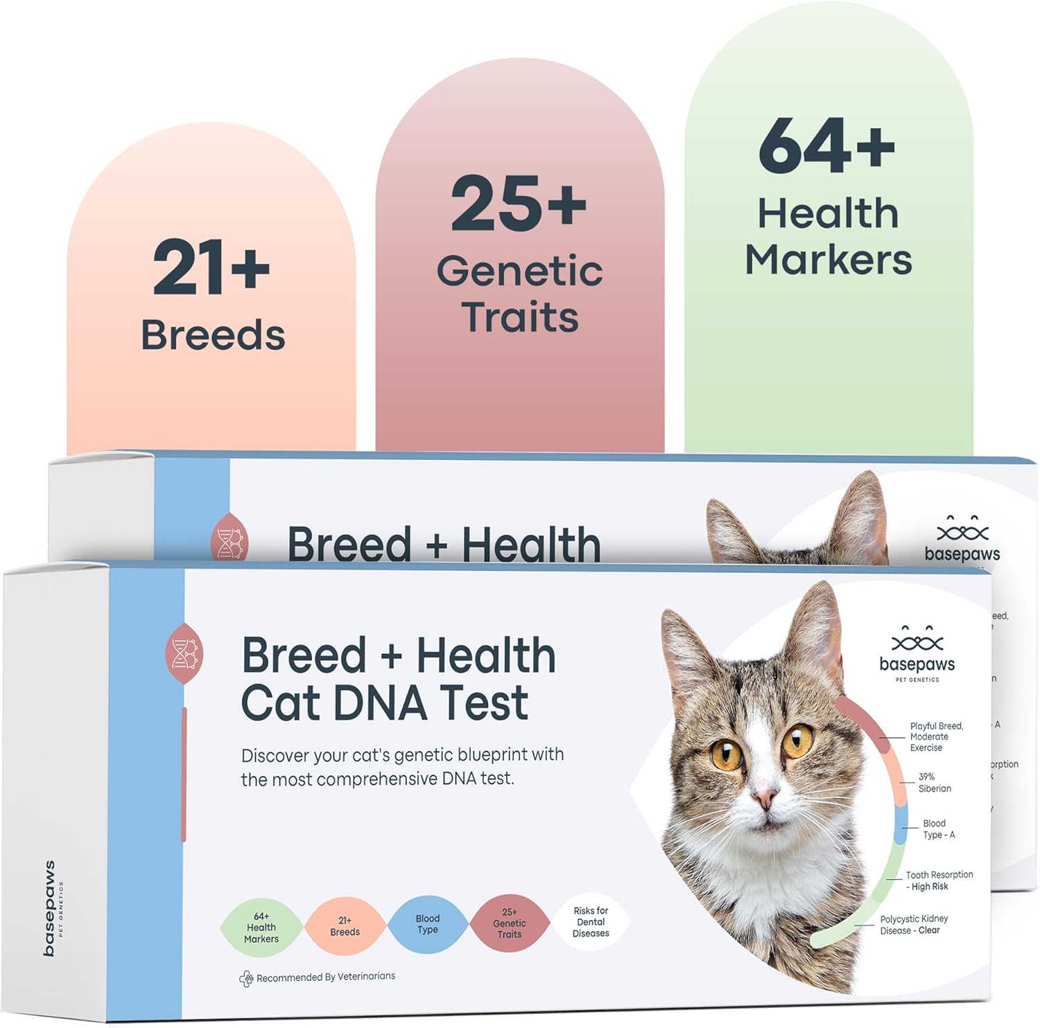 Basepaws Cat DNA Test Kit Breed + Health Report & Wildcat Index 18