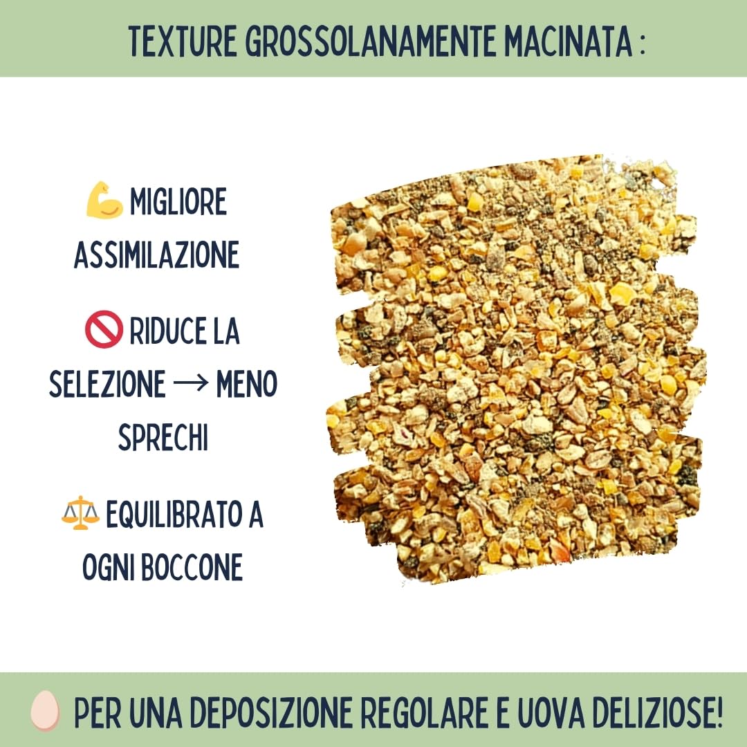 Ani'Nat Mangime per galline ovaiole senza OGM – Con oli essenziali – Miscela grossolanamente macinata – Nutrizione completa per deposizione e vitalità delle galline (5kg)