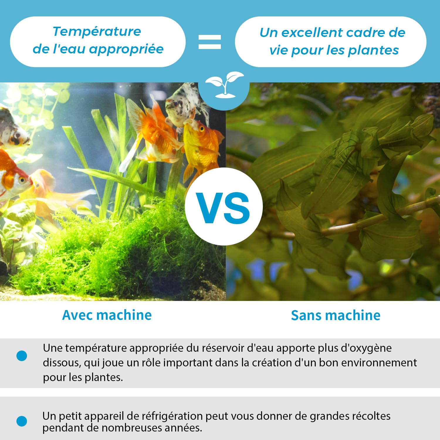 300L Refroidisseur d'eau pour Aquarium 245W, système de Refroidissement pour Aquarium de Poissons, système de Refroidissement pour crevettes d'aquaculture, Tuyau et Anneau de Fixation Inclus.