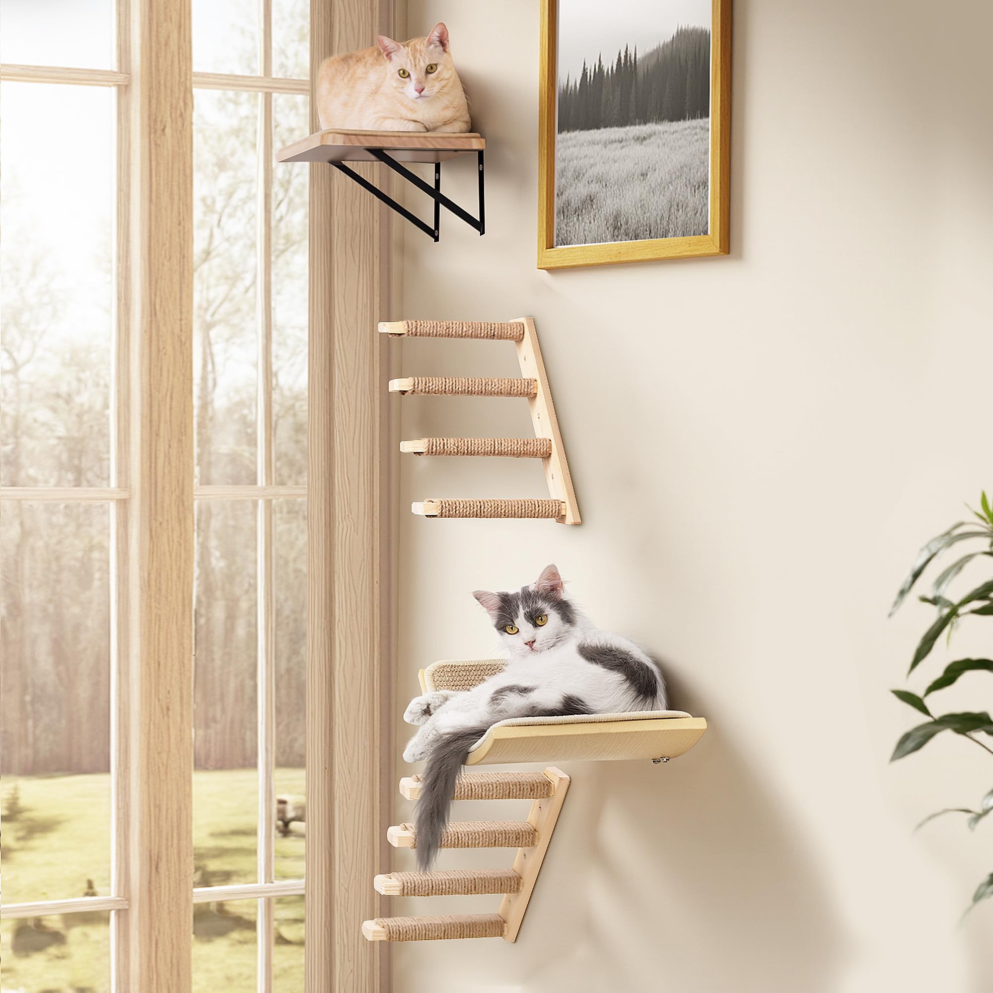 Gatos Escalada Pared Escalera Gato Juego de Pared con 2 Niveles Plataformas Cuadradas y Curvadas, Muebles de Pared de Madera para Gato Montado en Pared Juego para Escalar Jugar Dormir