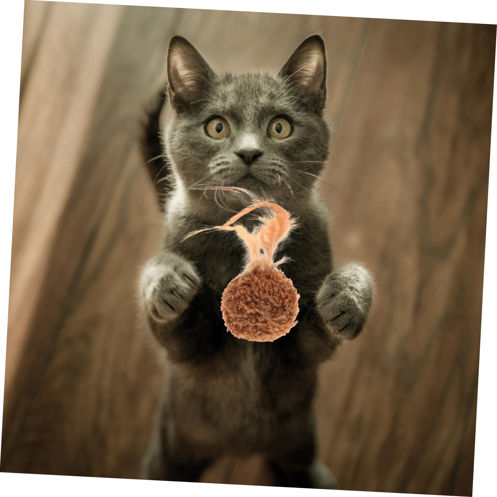 VANZACK 45pièces Boules De Jeu pour Chat Lot de Jouets avec Plumes Et Clochettes Accessoires Amusants pour Chatons Et Chats Jouets Portables pour Activité Divertissement Fait Main