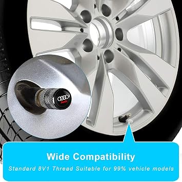 TACOMA Tire Valve Stem Cap Cover for Audi Belt O-Ring Seal Corrosion Resistant,Tire Valve Stem Air Cap 4 Pack Black