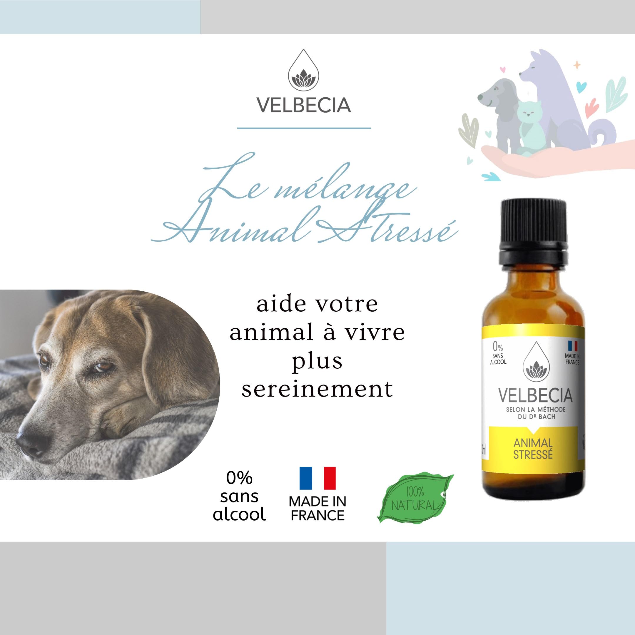 Velbecia® Animal stressé 30ml +1 OFFERT Elixirs de fleurs SANS ALCOOL - Méthode du Dr Bach - Apaise et calme votre animal