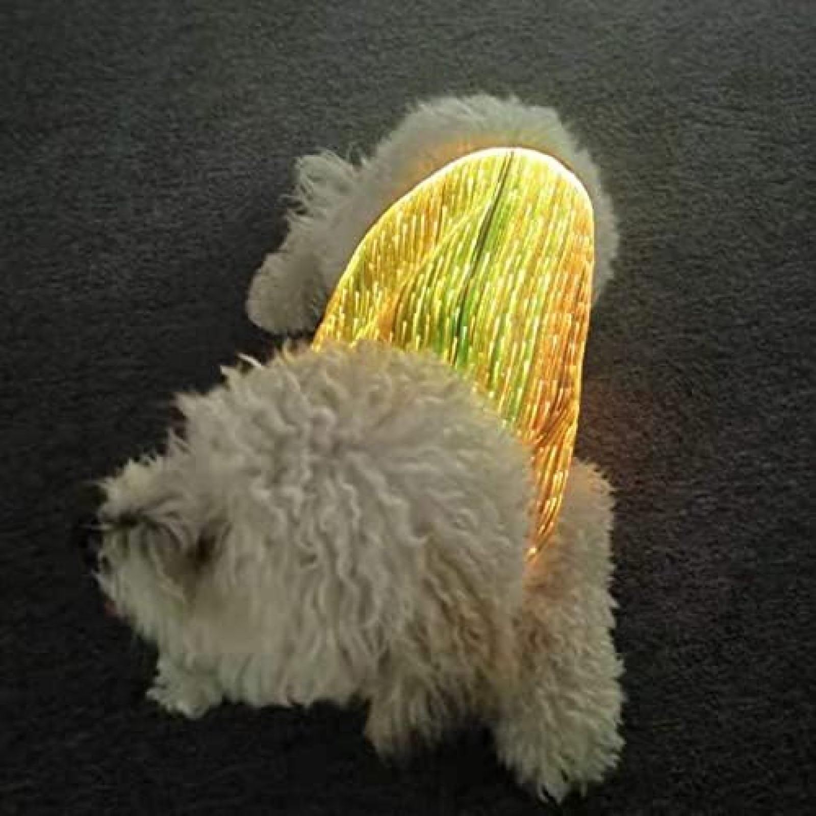 Mascota Perro RGB Ropa Luminosa Colorida, Chaleco Ajustable Arneses Fibra Óptica Ropa para Mascotas Que Brilla Intensamente Arnés para Perros De Fibra Óptica LED Chaleco para Perros Acolchado Suav