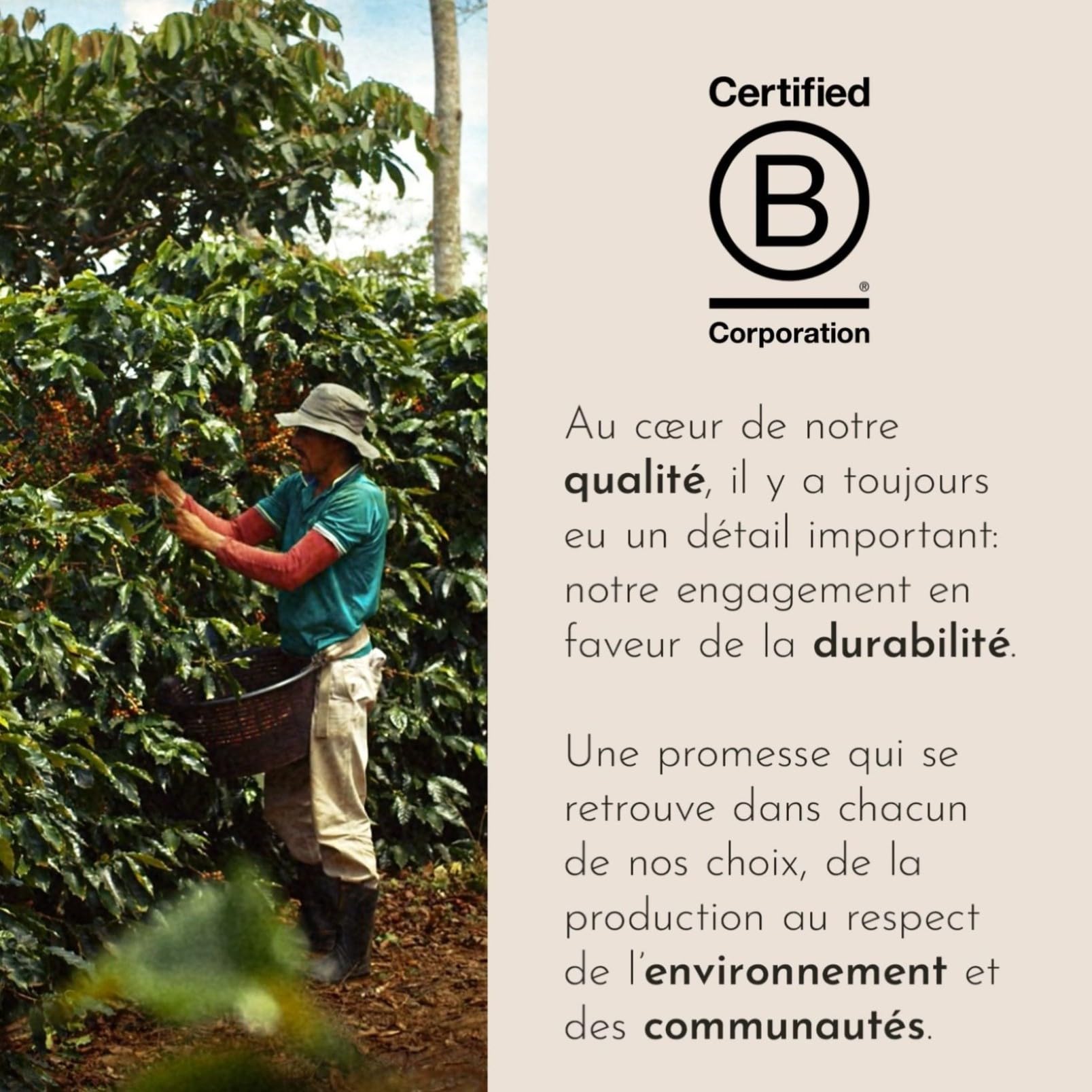 illy, Cafè Moulu pour Espresso Torréfié CLASSICO, 100% Arabica avec des Notes de Fleur d'Oranger et de Jasmin, un Goût Doux et un Arrière-goût Sucré, Paquet de 6 Boîtes (6 x 250gr)