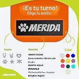 Ver la foto 5
