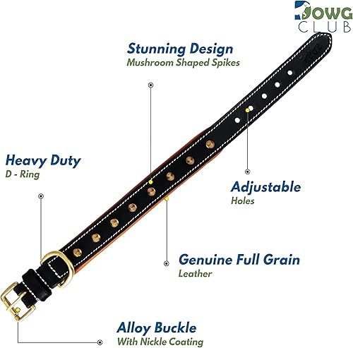 Miniatura 4 de DowgClub  Collar de perro con pinchos de cuero genuino, grano completo, resistente, cómodo, fuerte, mejor para razas medianas, grandes, XL  2