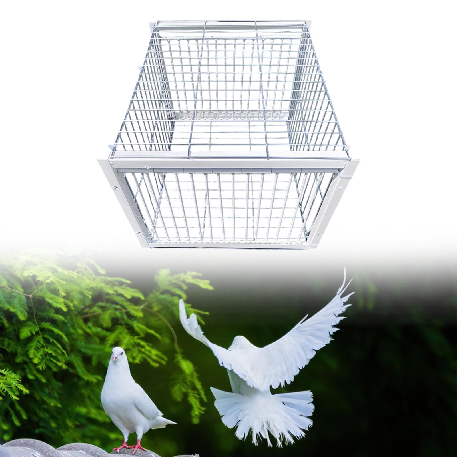 Jaula para Palomas, Soldadura Metálica Impermeable, Atrapapalomas Automático, Animales para Gorriones en Tejados, Entrada de 2 vías