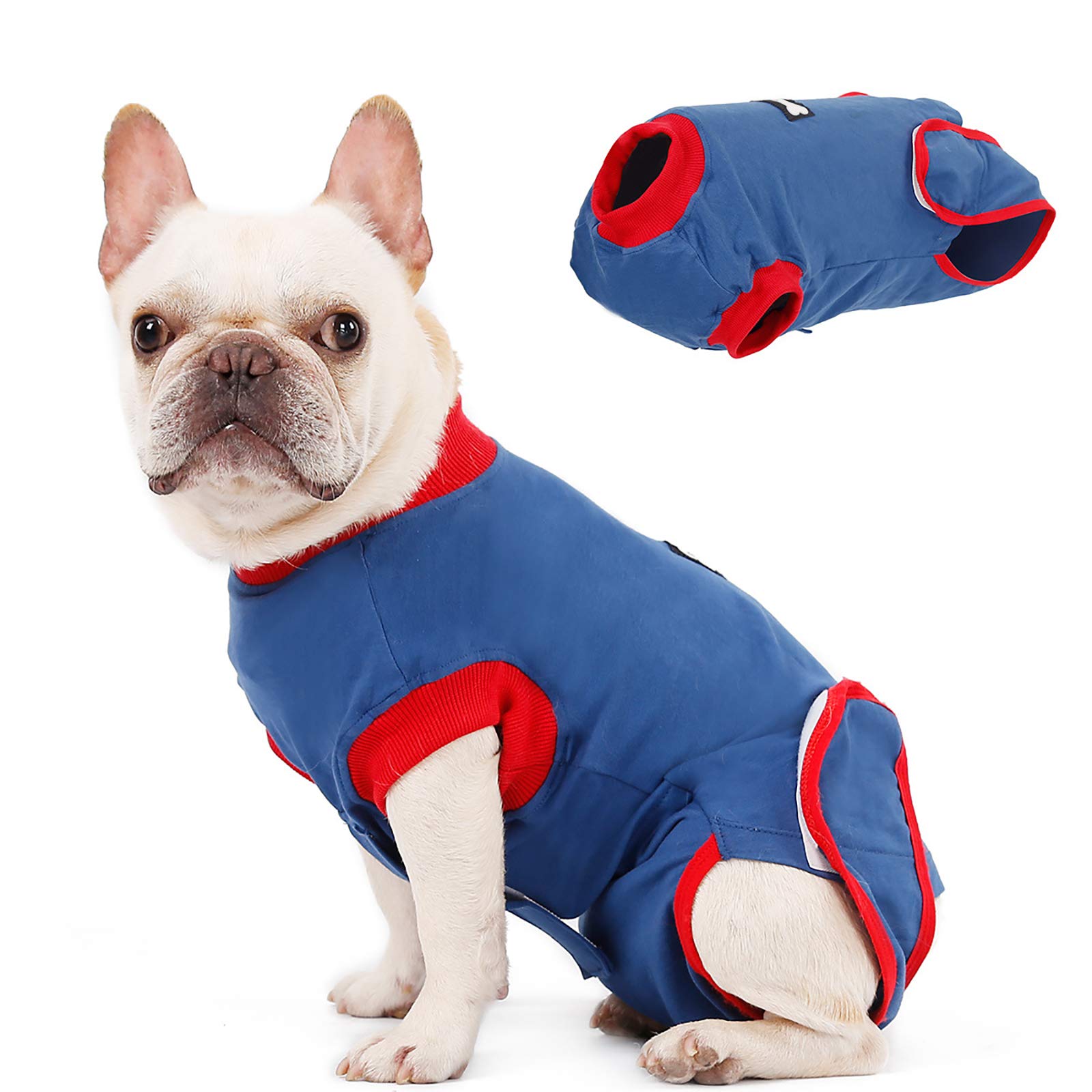 Gilet de récupération pour chien après la chirurgie confort à la maison