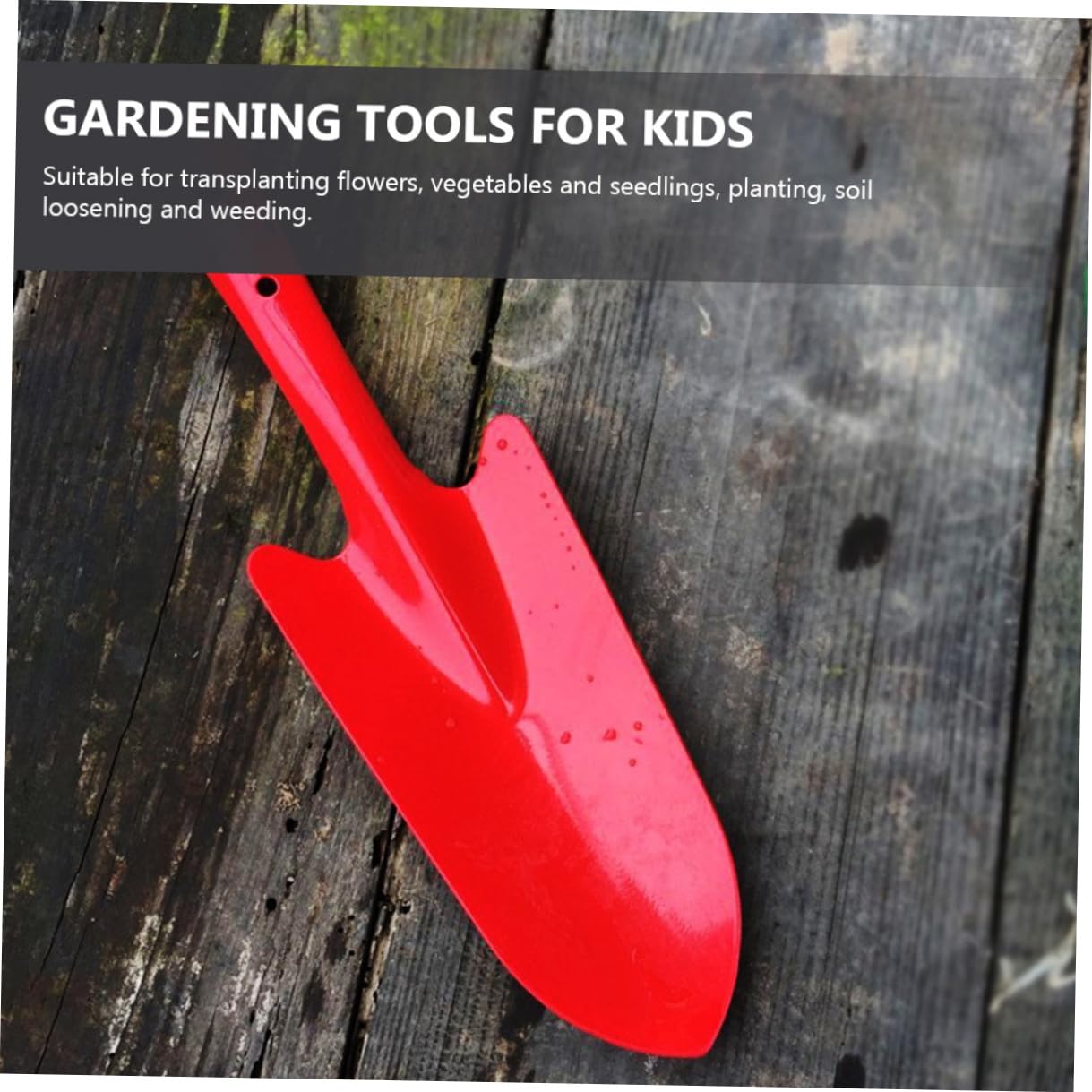 Toyvian 5 Stück Teiliges Metall Handlich Leicht für Pflanzen Pflanzen Graben und Umsetzen Bunte Kleine Gartenschaufeln für Blumenpflege und Gartenarbeit