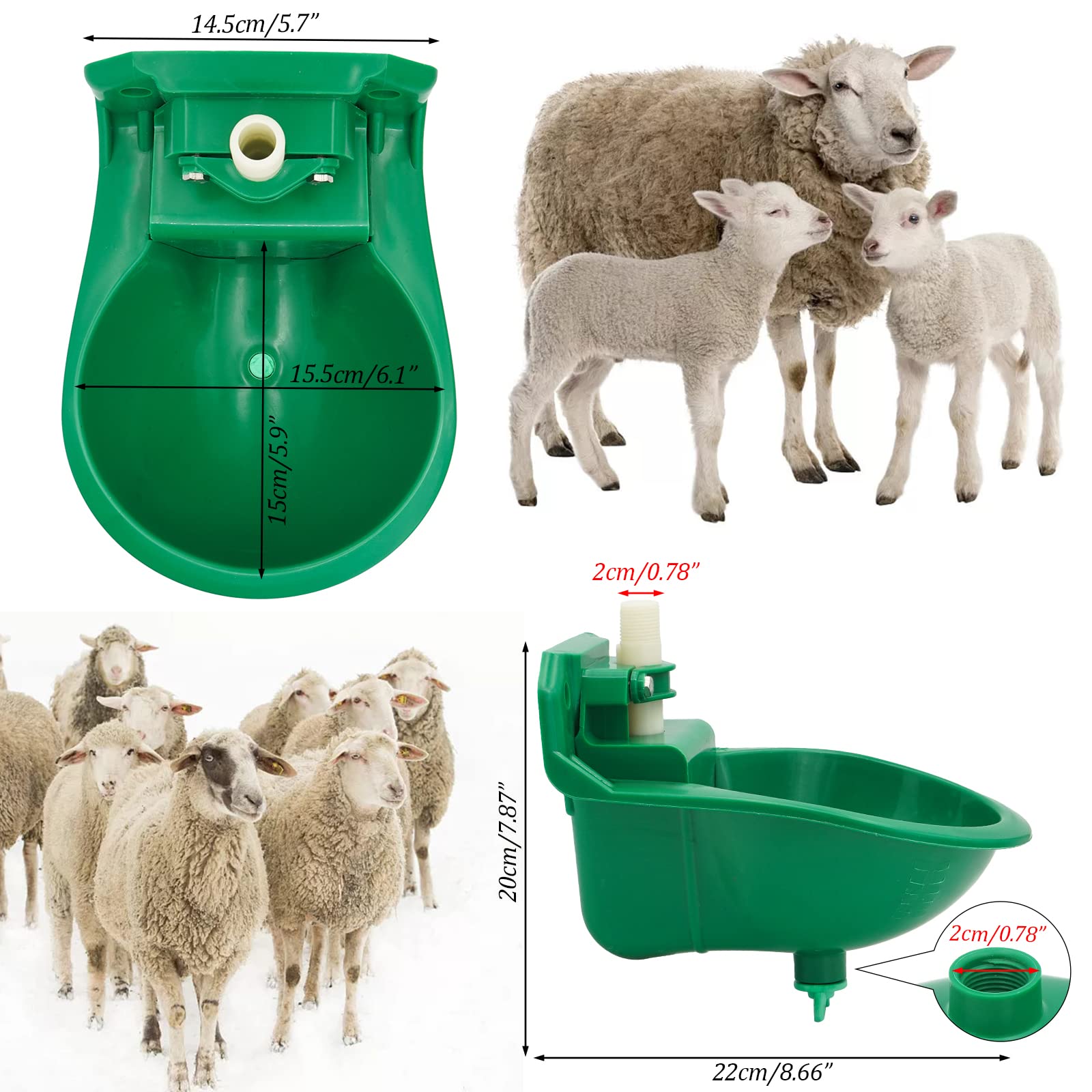 Abbeveratoio per Pecore, Abbeveratoio Automatico per Bestiame Verde, Adatto per Pecore, Capre, Maiali, Cani, Confezione Da 2