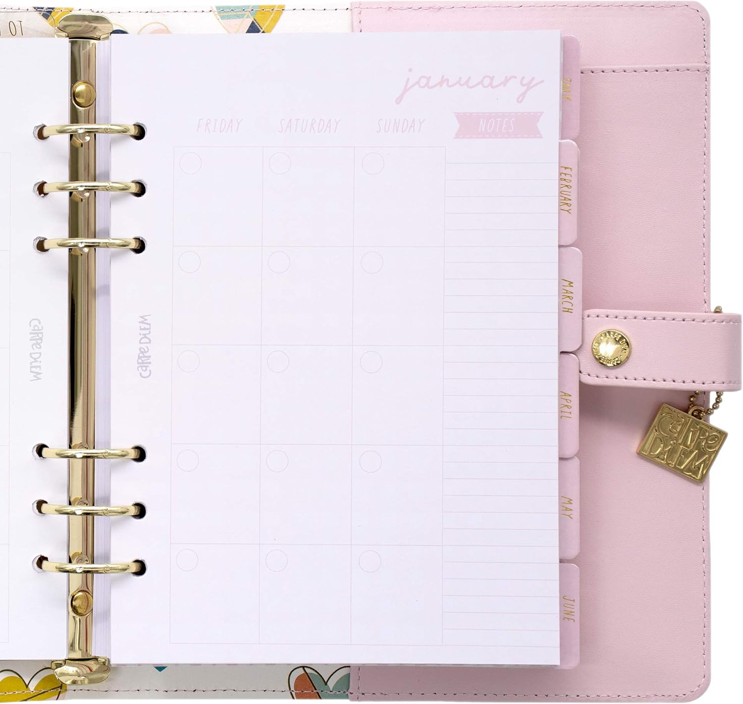 Pukka Pad, Carpe Diem A5 Planner with Weekly, Monthly Undated Inserts, 10 X 9.5 X 2 Inches, Ballerina Pink