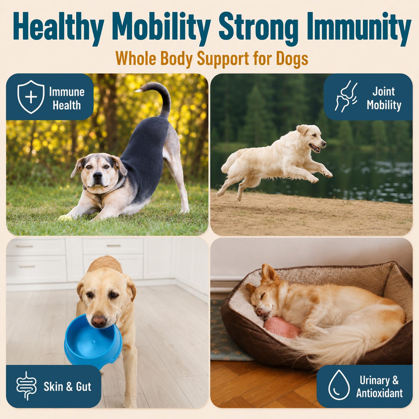 Turkey Tail Mushroom for Dogs, Immune & Joint Supplement for Dog, 200 Chews — Amazon image 5
