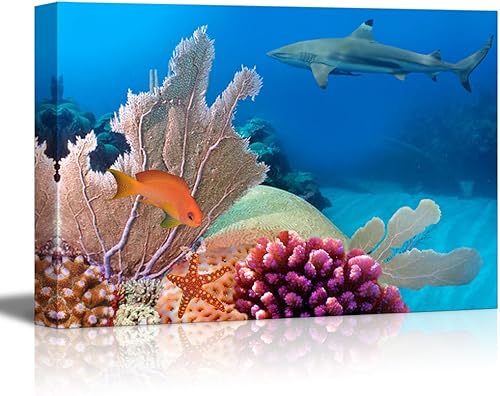 Wall26 - Lienzo impreso en lienzo para pared, diseño de una colonia de coral, mar rojo, Egipto, decoración moderna de la pared y decoración del