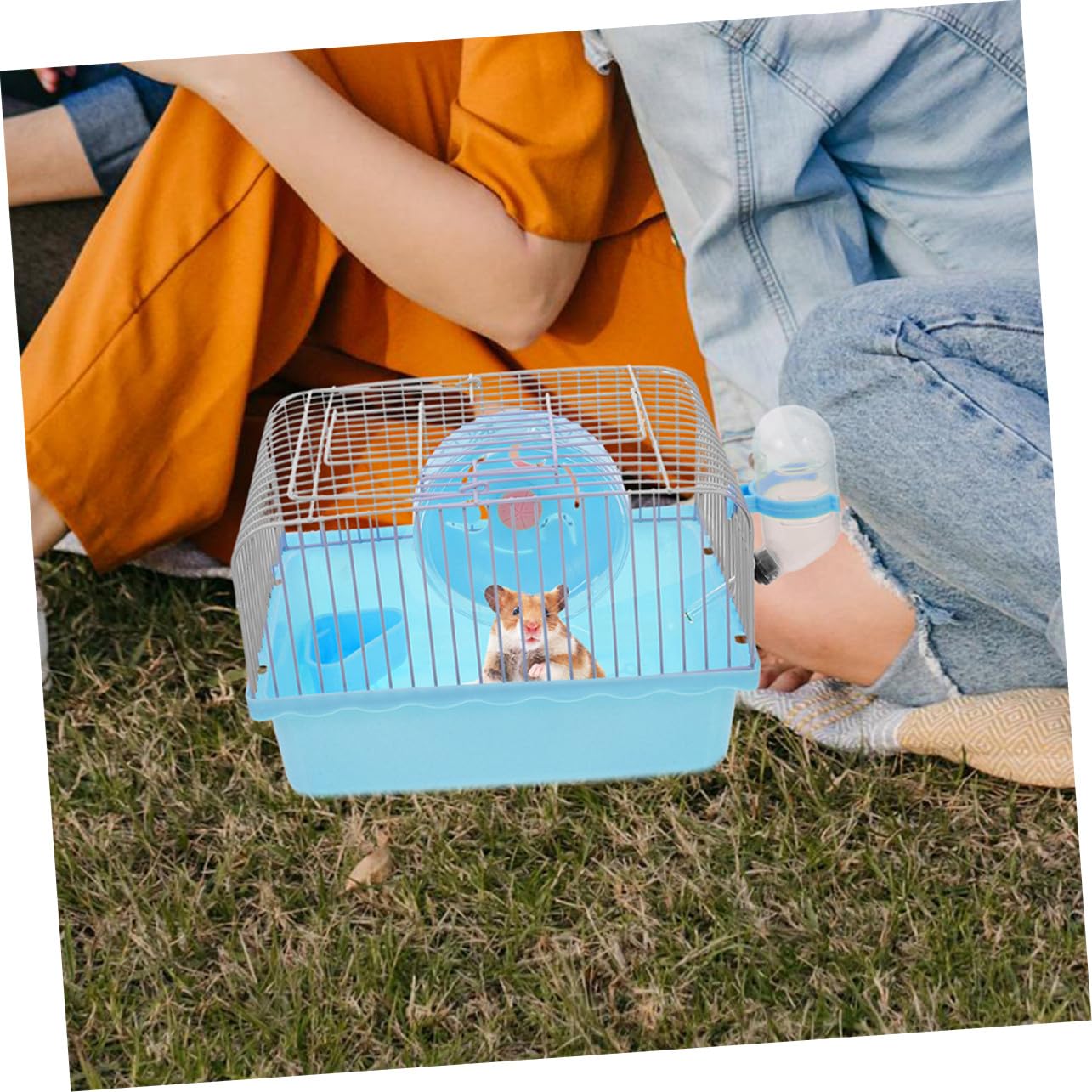 Toddmomy Tragbare Hamster Transportbox für Hamster und Mäuse 2 Stück-Pack Leicht mit Trennbereichen für Aktivität Ruhe und Fütterung