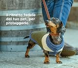 Ver la foto 2