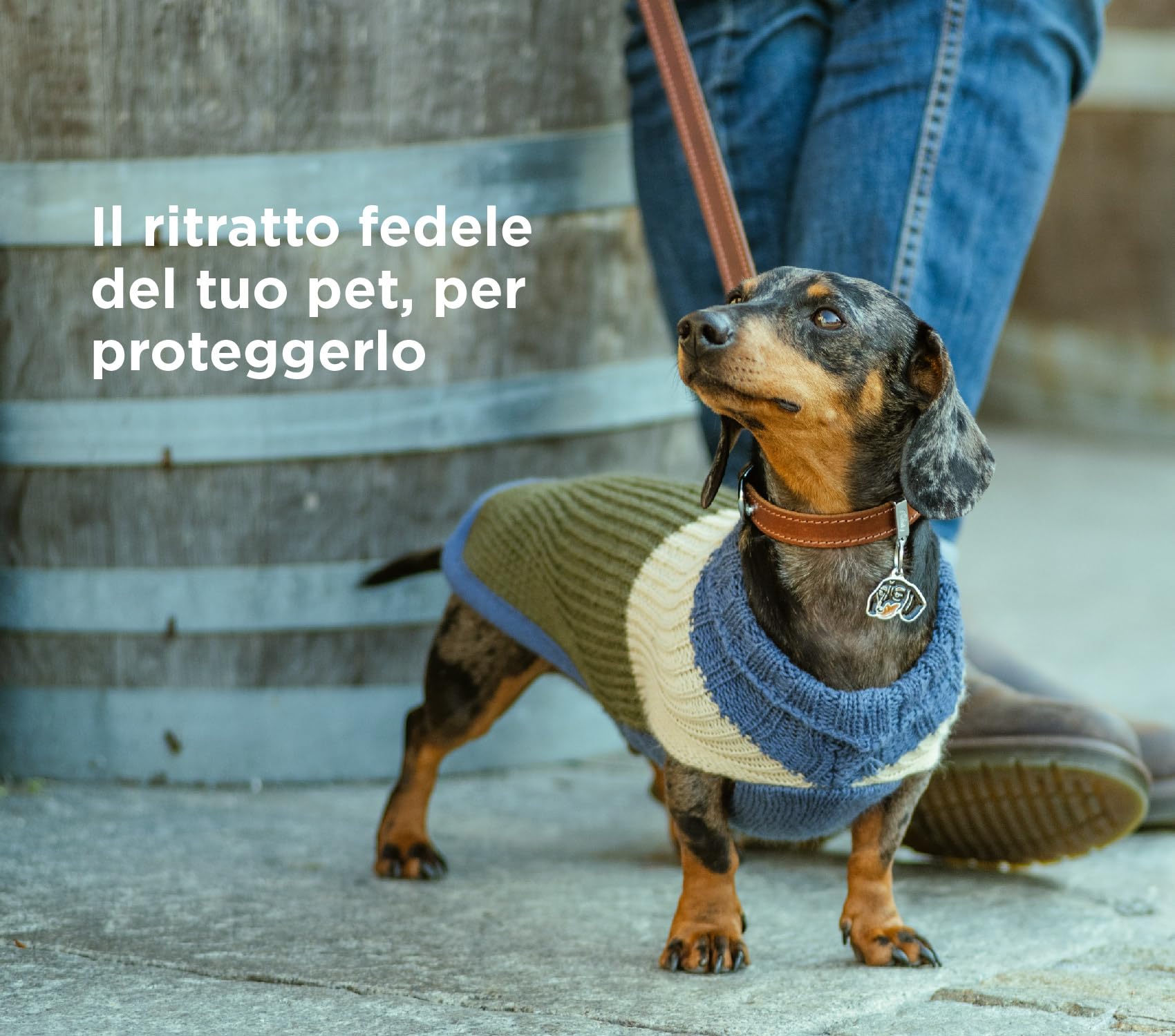 MyFamily Medaglietta per Cane Beagle Targhetta Cane Smaltata a Mano Metallo 27x30 mm