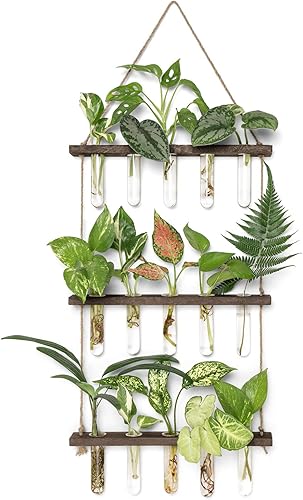 Mkono Tubos de propagación de plantas, terrario colgante de pared de 3 niveles con soporte de madera, mini tubo de ensayo, florero de flores, Marrón