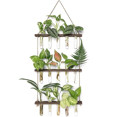 Mkono Plant Propagation Tubes, 3 Tiered Wall Hanging Terrarium with