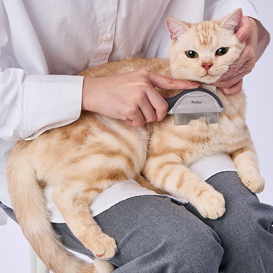 _.loupiotte._ ぐりっこサイズ　トイピアノ　猫のクロモス付き _.loupiotte._ ぐりっこサイズ トイピアノ 猫のクロモス付き