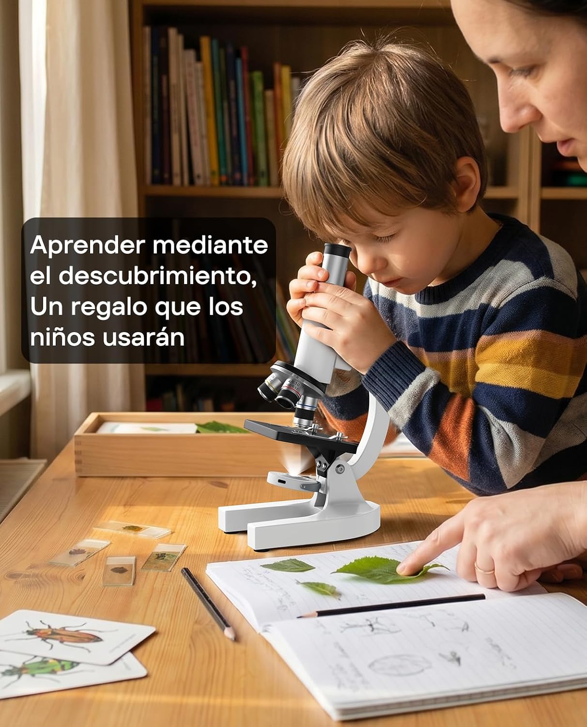 2000X Compound Microscope for Kids and Adults: Biological Microscope with Slides and Storage Case - School Lab Home Educational Science Kit for Students Beginner - STEM Birthday Gifts for Child Teens