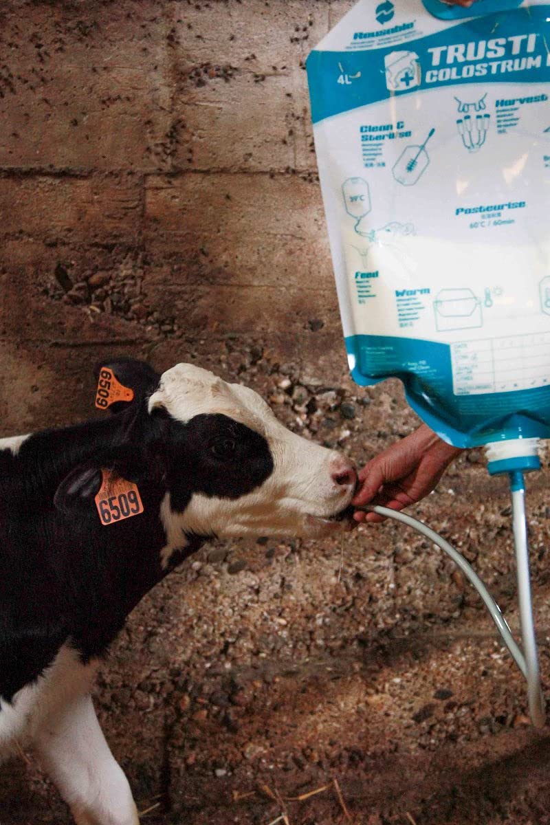 Produktbild von Horizont Kolostrum-Beutel 4 Liter Mit Trusti-Sonde & Peach-Teat – 10 Stück, Für Kälberaufzucht