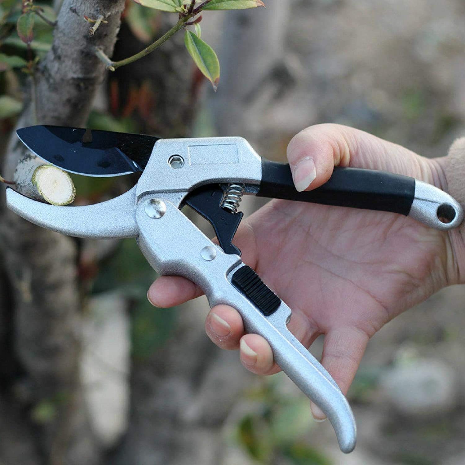 Astschneider, Heckenschere, Cutter, Beschneiden, Handschere, Pflanzenschneider, Sk5 Ratsche, Pflanzenbesatz, Gartenbau-Handschere, Obstgarten-Beschneidungsschere, Schnittschere, Strauch, Gartenschere