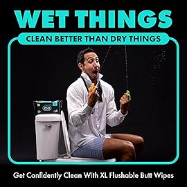 DUDE Wipes - Flushable Wipes Stocking Stuffers - 1 Pack, 48 Count - Mint Chill - Vitamin-E, Aloe, Eucalyptus & Tea Tree Oils - Septic and Sewer Safe