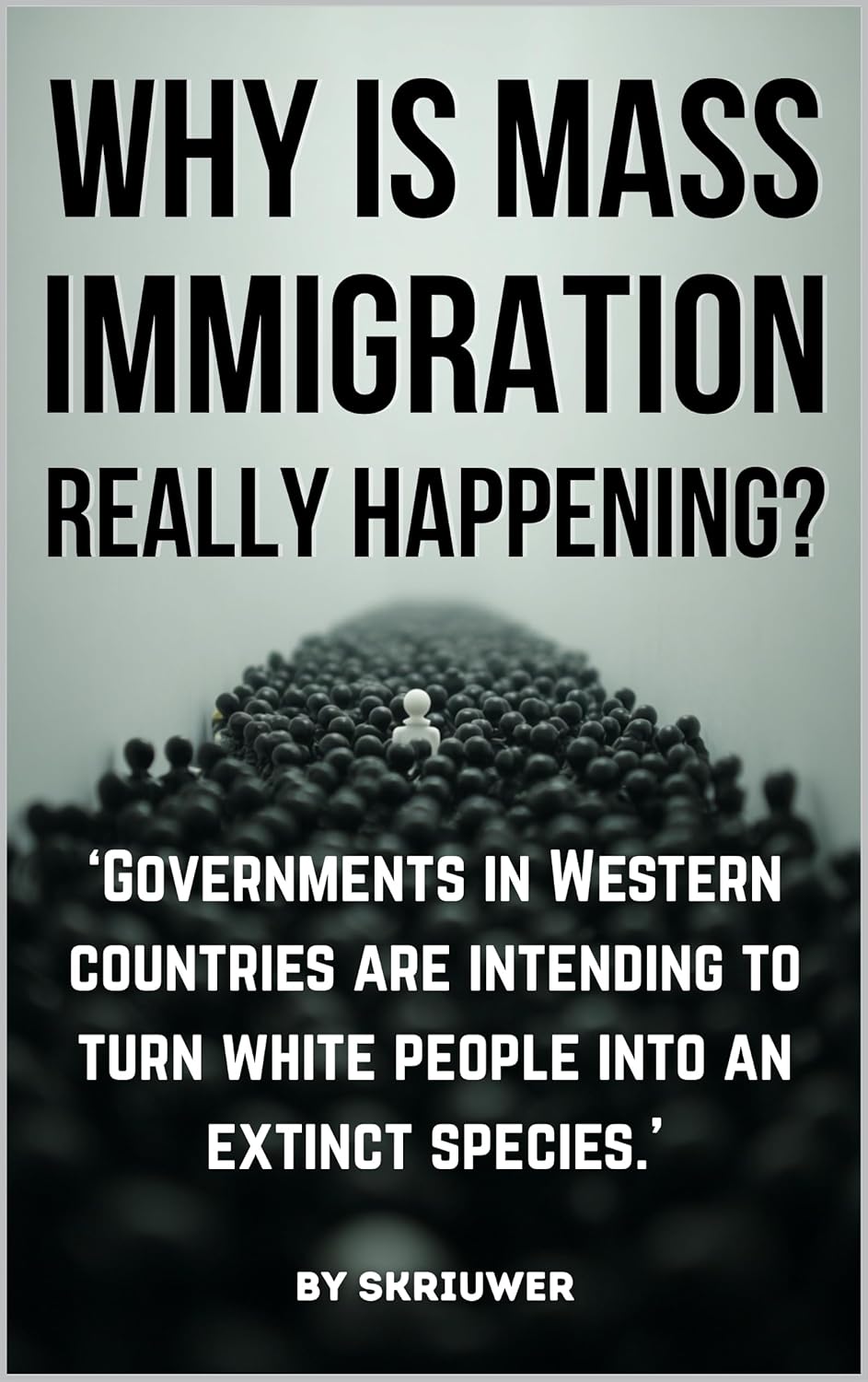 Why is Mass Immigration Really Happening?: White Replacement Theory, Globalist Conspiracy, Border Crisis, Diversity Failure, Cultural Erosion, and Demographic ... White Countries (Controversial Books)      Kindle Edition