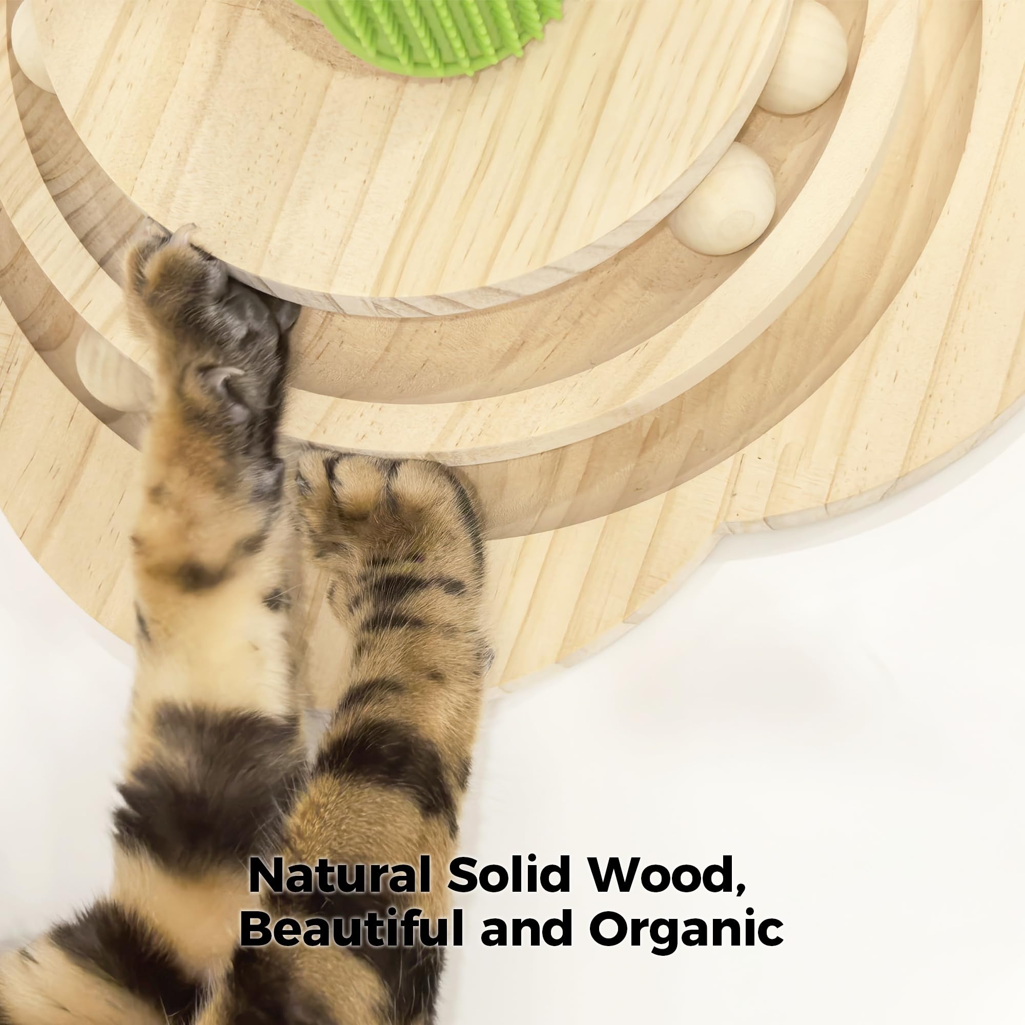 TINYBEAST Kratzbaum aus Holz, 4 in 1 Katzenkratzspielzeug mit Katzenballschienen, 63 cm hoher Sisal-Kratzbaum für Indoor-Kätzchen, erwachsene Katzen, interaktives Federspielzeug und 4 Sisal-Bälle zum