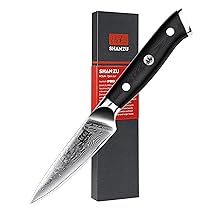 SHAN ZU Coltello Damasco Coltelli Sbucciatori a 67 strati Coltelli Giapponesi per Frutta e Verdura in Acciaio ad Alto Tenore di Carbonio Coltello da Cucina a 67 Strati con Manico G10
